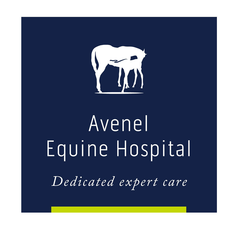 Avenel Equine Hospital, Melbourne, VIC